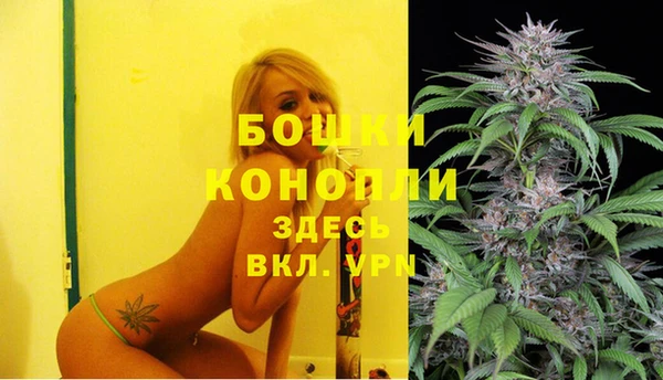 дживик Балахна