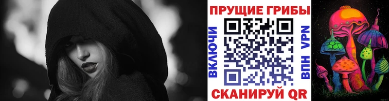 Псилоцибиновые грибы GOLDEN TEACHER где купить blacksprut как зайти Мариинск